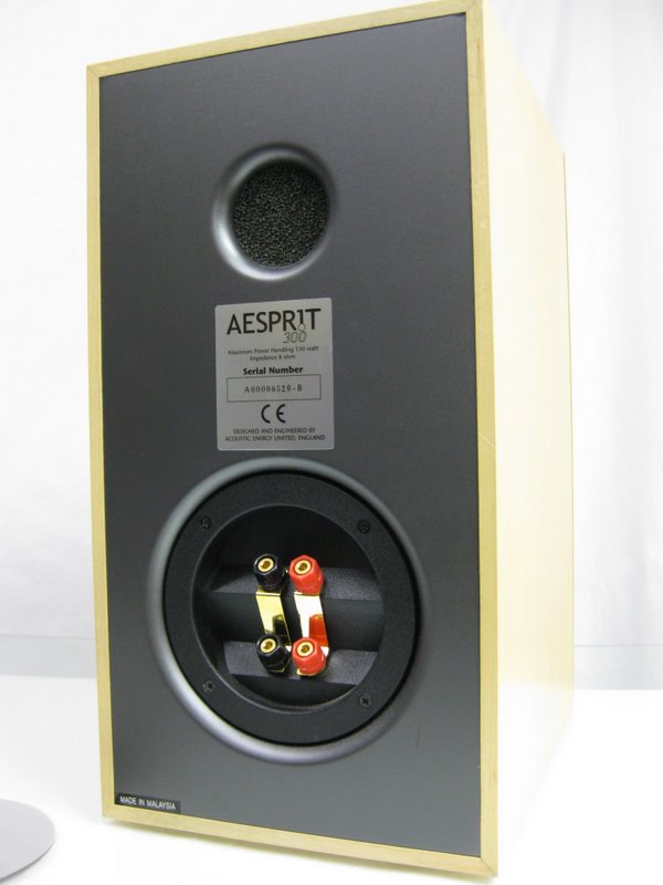 AE Aesprit300 4.jpg