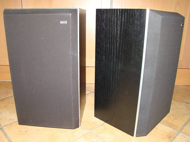 Dynaudio P31 front schwarz.jpg