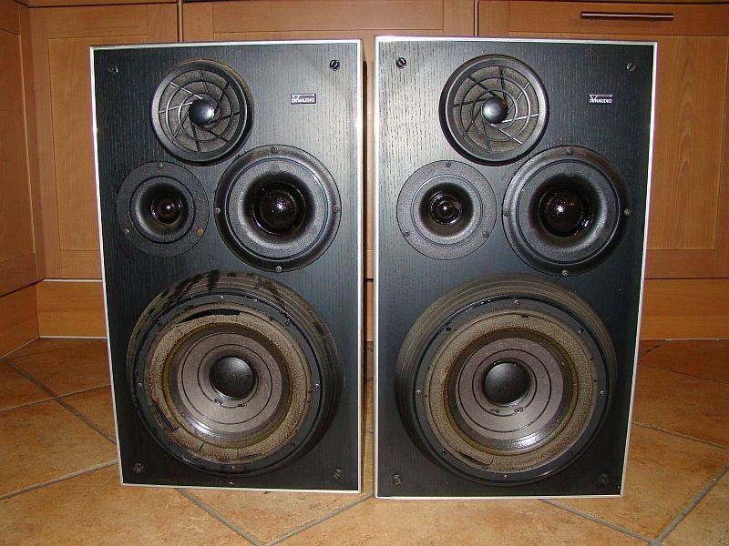 Dynaudio P31 front schwarz offen.jpg