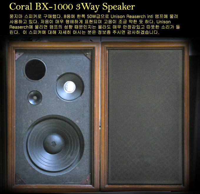 BX-1000-1.jpg