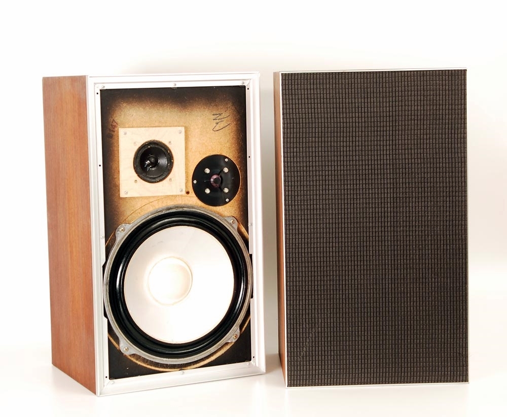 leak sandwich speakers